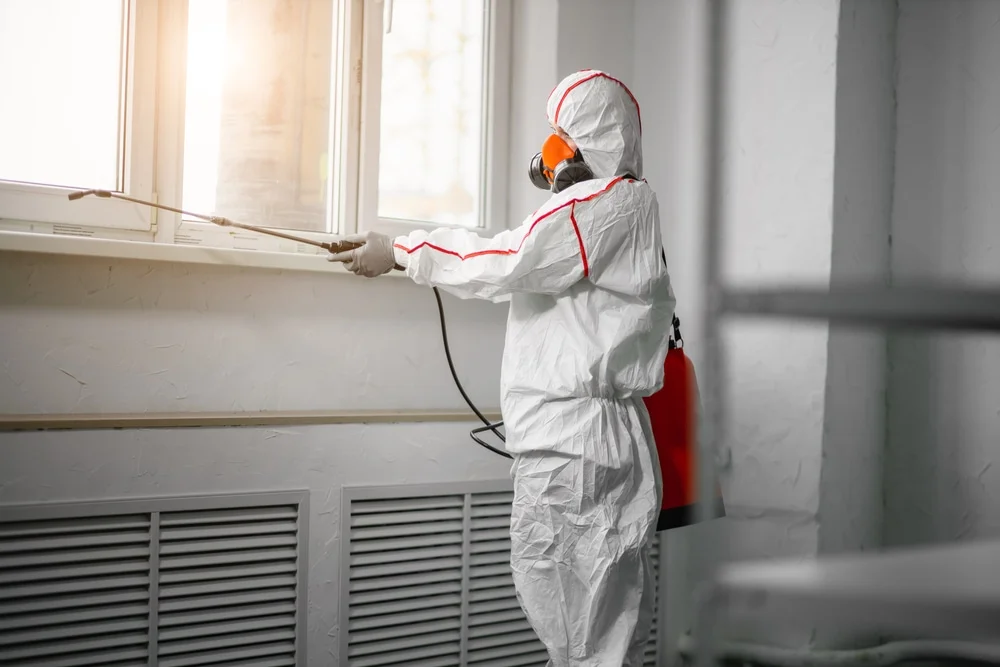 Professional mold remediation services in Lafayette, TN